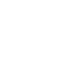 PDF icon