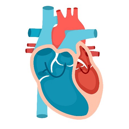 Heart Failure